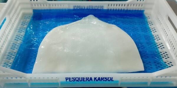 c5613d18-f035-4cb8-9343-e342ce10eaf5